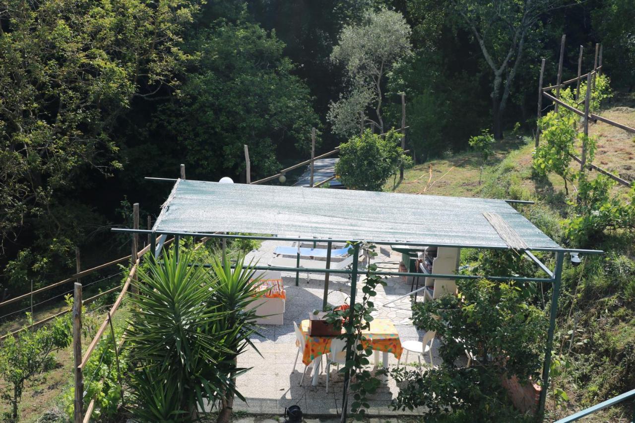 Villa Maremonti - Con 3 Piscine Сестри Леванте Екстериор снимка